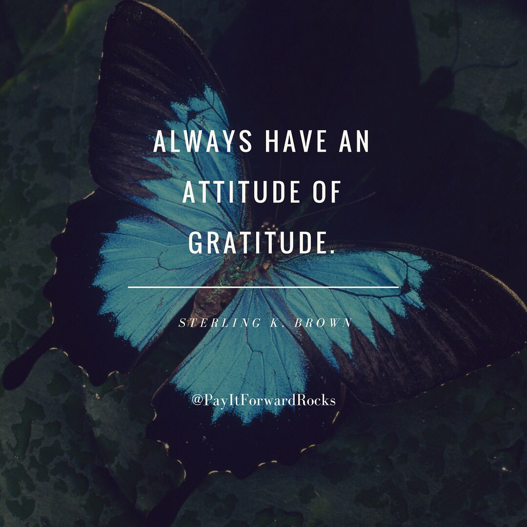 PayItForwardRox's tweet photo. Gratitude is contagious! Spread gratitude with acts of gratitude, pay it forward ✨🙏 https://t.co/xEmVKO98V0
