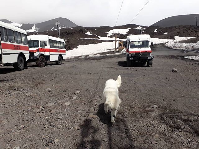 TrailsOfSicily's tweet photo. Off we go.
#etna #etnasud #volcano #volcanohike #volcanotour #activevulcano #craters #mountainlovers #mountain #outdoors #stepinsicily #szlakamisycylii #trailsofsicily #lava #hike #hikingtrail #trek #wulkan #krater #góry #natura #wycieczka #wakacje #prz… https://t.co/pWwWR8APuH https://t.co/P1JCxDOzKk