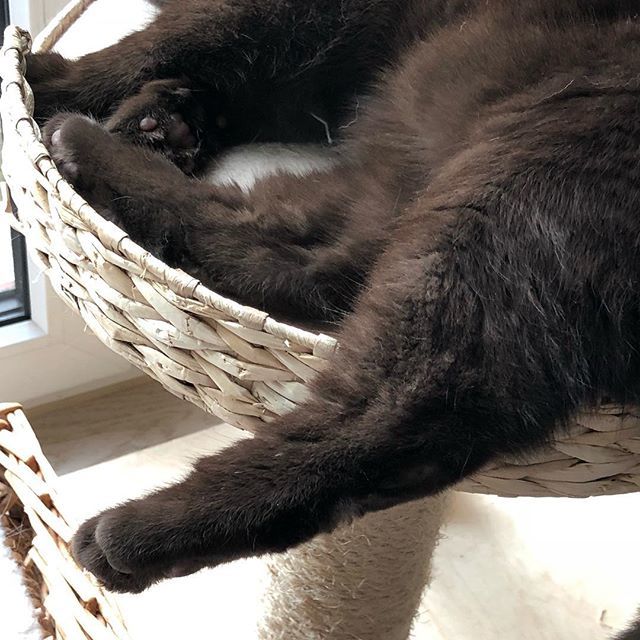 seni_bl's tweet image. Statusupdate:
Durchgängiger. Das hatte heute locker für 2-3 Tage gereicht. #erledigt #exhausted #brauchnepause ift.tt/2JR3i4H