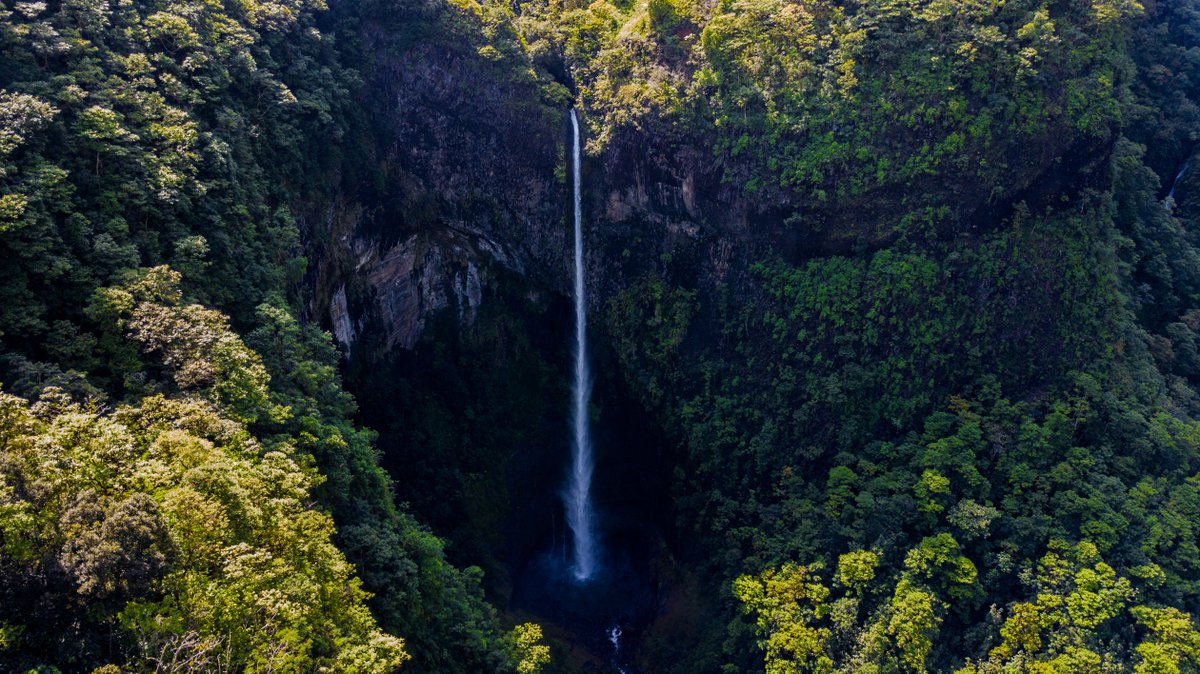 YourBluePlanet7's tweet photo. "Look deep into nature, and then you will understand everything better."
-Albert Einstein https://t.co/yzp1vzcfo0