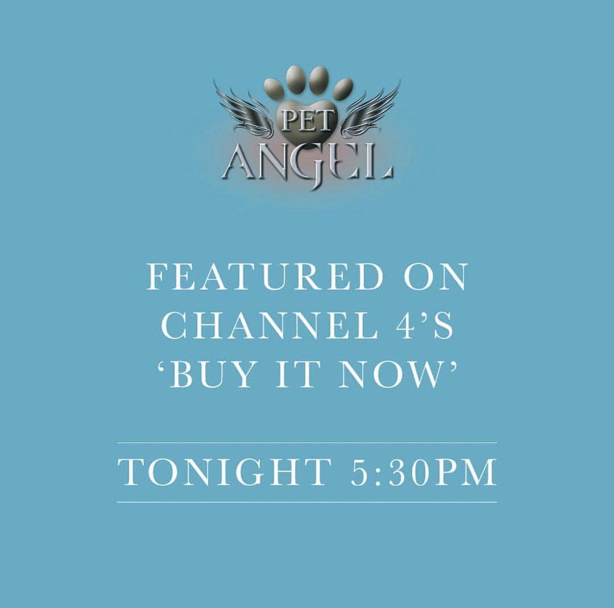 RichardWardHair's tweet photo. Only 30 minutes to go before @PetAngelBrush is featured on @Channel4’s ‘Buy it now’ Make sure you tune in! #petangel #tangleangel #richardwardhair #pettools #petgrooming https://t.co/BBBDJNCzMA
