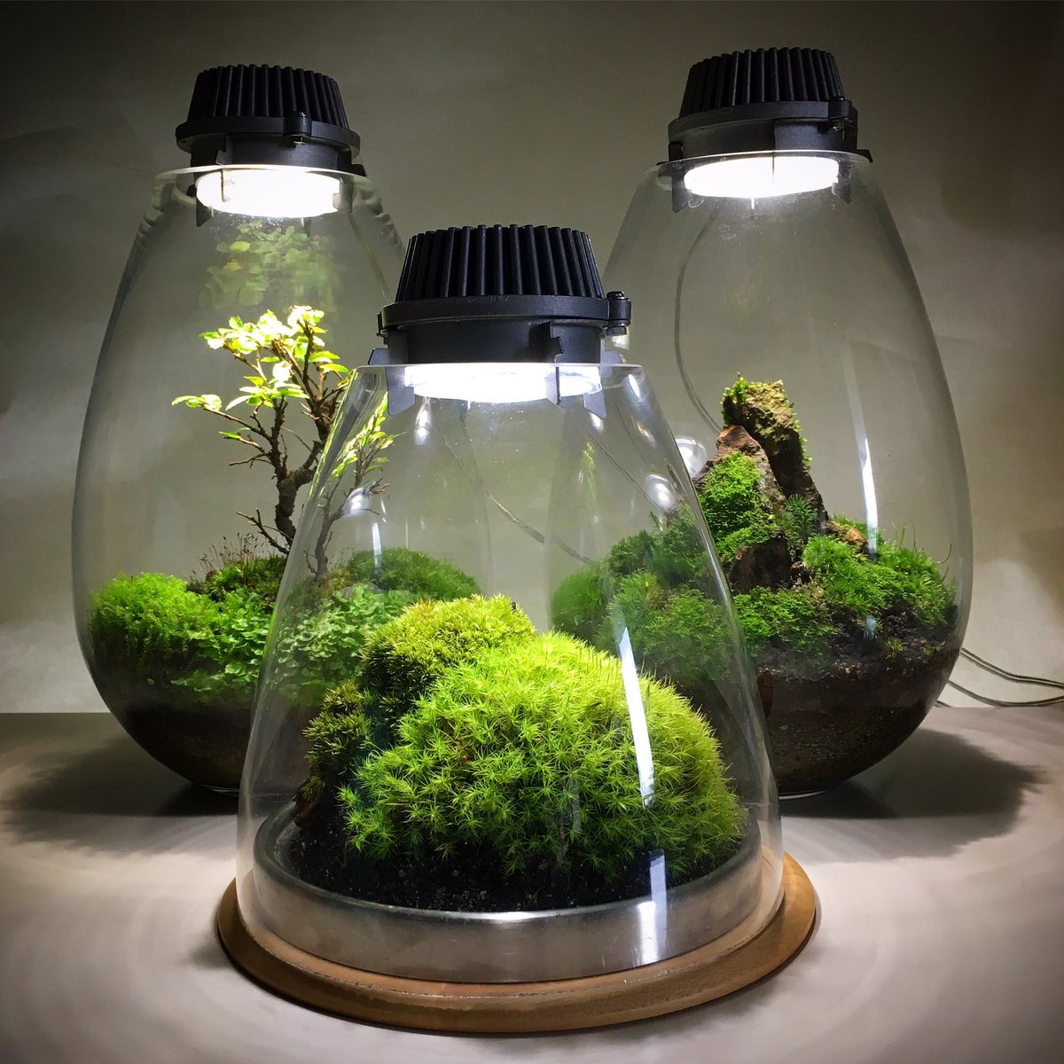 topterrarium's tweet photo. @jeuniors #homeinspiration #industrialdesign #apartment#designerhome #livingroom #bedroom #design #space #adstyle #photooftheday
#salon #mobilierdesign #artetdecoration #serielimitee #decorationinterieur #madewithlove #shoppingdesign #deco #designlovers https://t.co/Rtse8jQiLV