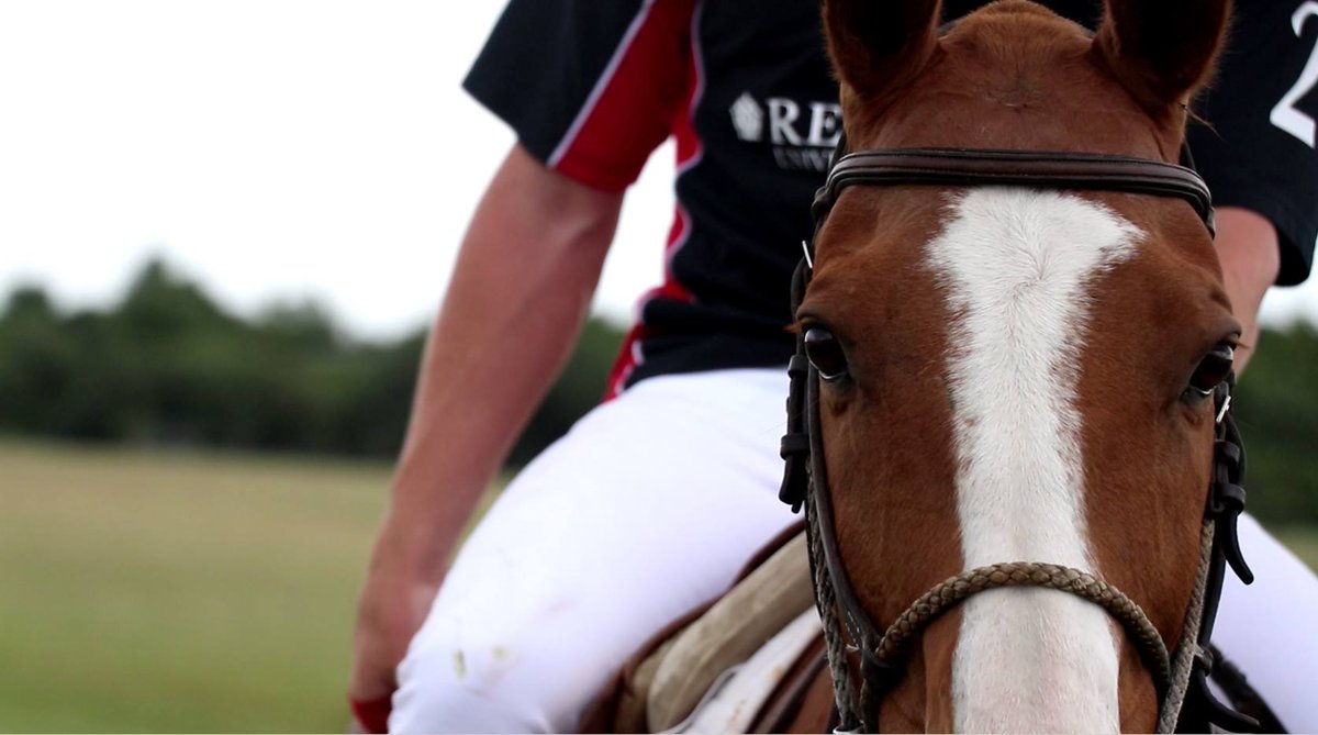 Regent's are delighted to have formed a scholarship agreement with <a href="/PoloDevelopment/">FIP POLO</a> 🐴. Apply now 👉 bit.ly/2EQ8tyi #MondayMotivation
