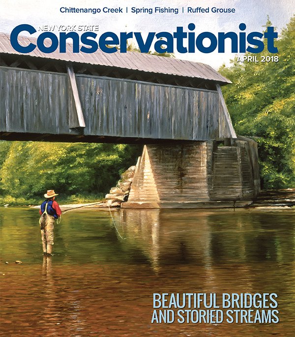 NYSDEC's tweet photo. Get connected to nature with Conservationist magazine! We are offering the April digital edition for free, so everyone can experience the informative and entertaining articles and first-rate photography: https://t.co/ET5alJq0QS https://t.co/oh5Dd9djum