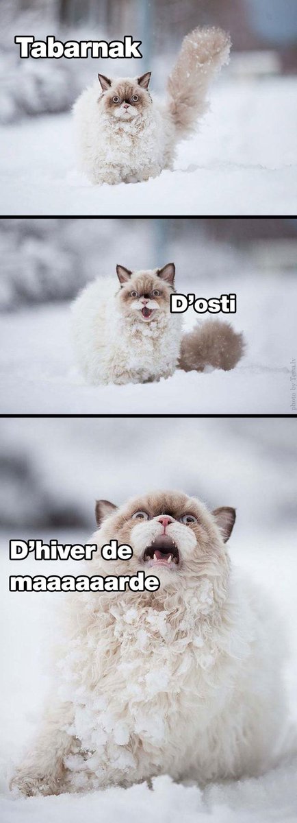 Tonight’s Practice is Cancelled as CVR closed due to an ice storm.... in APRIL!!!