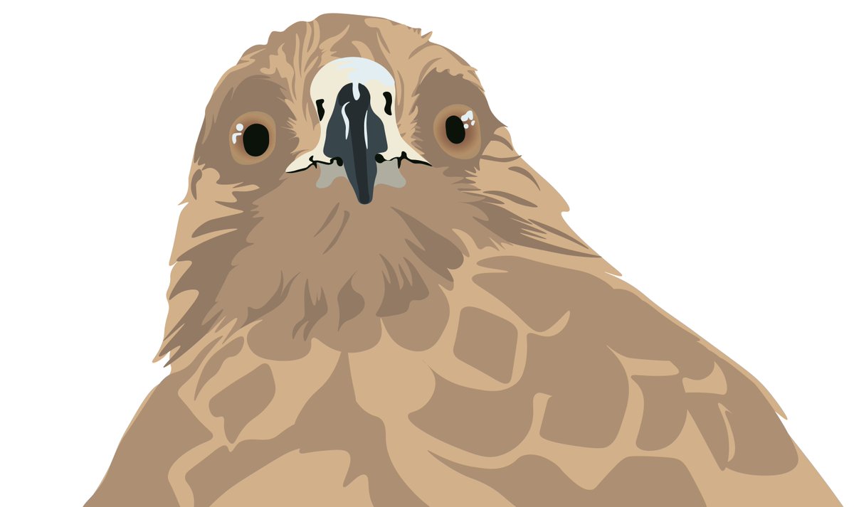 TUIWildlife's tweet photo. One of our ambassadors wrote a blog post! See what Pandora has to say about events @TUIWildlife this week including her job helping people leanr about nature, #EarthOptimism2018,  and our #Patreon Launch! BLOG: https://t.co/f9MQPg2iDp PATREON: https://t.co/oTD5QwVwM2 https://t.co/beh1gAK6DL