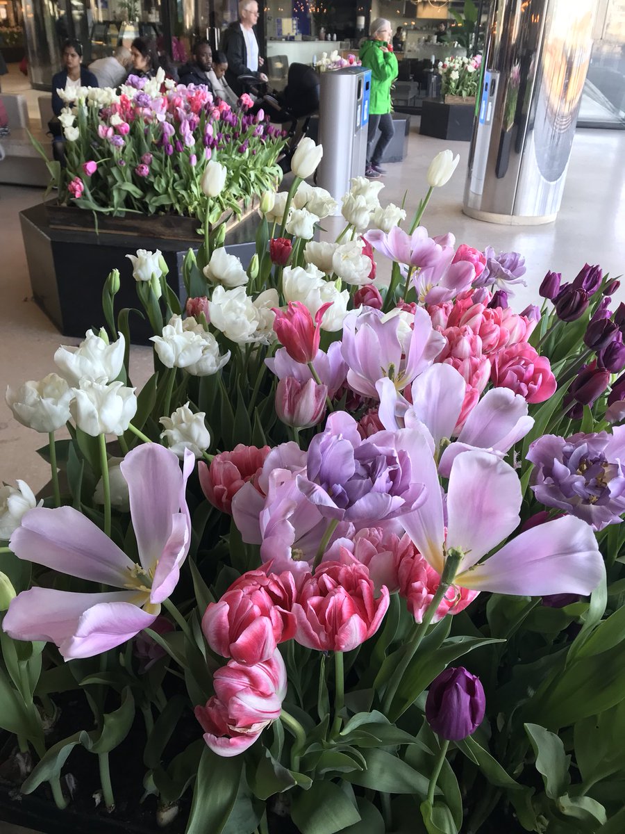 Canan Uyar tweet media