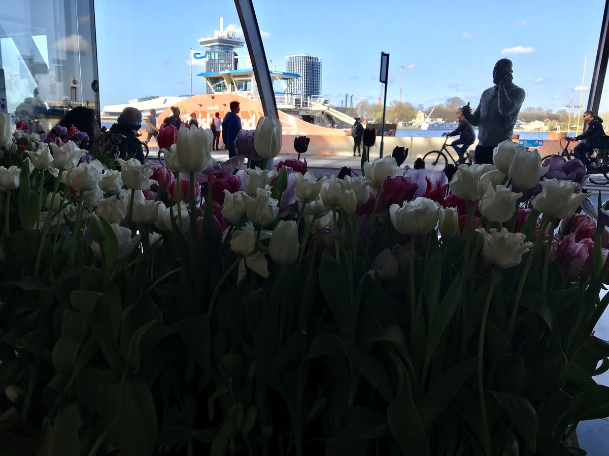 Canan Uyar tweet media