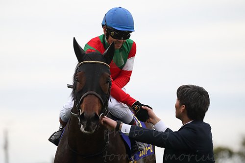 Tomoya Moriuchi On Twitter Epoca D Oro With Jockey Keita Tosaki Won The Satsuki Sho Japanese 2000 Guineas G1 Epocadoro Satsukisho エポカドーロ 皐月賞 Https T Co Xzgiprls2h