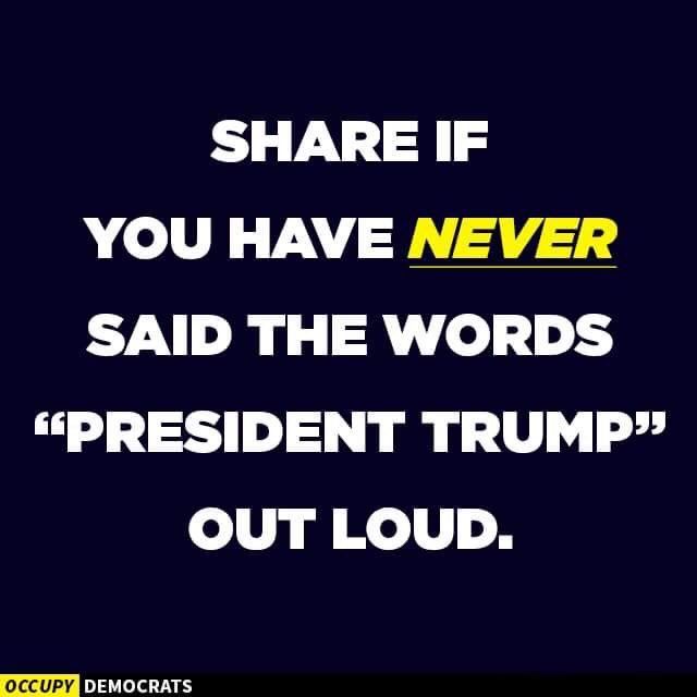 Sams1stDaughter's tweet photo. I have called him #TraitorTot, #FakePresident, #LiarInChief, #AdolfTwitler, #ConArtistInChief, #HairFurher, #Trumplethinskin, #RacistInChief, #MisogynistInChief, #AClearAndPresentDanger, #NarcissistInChief, #BullyInChief, #BigotInChief, #RealityShowPrez, and a few other things. https://t.co/Ym5UK39Tui