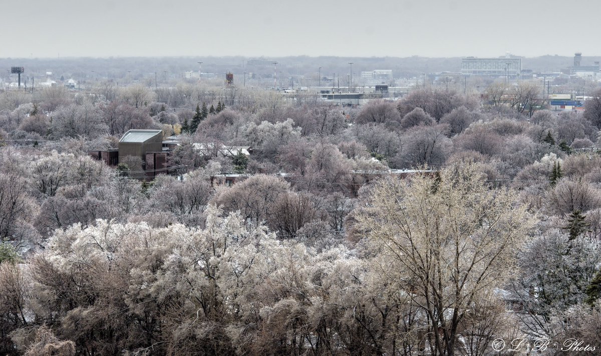 Montreal Quebec Canada Weather - Lorr 333 On Twitter A Bird S Eye View Of Montreal Quebec Canada At 11 30 This Morning Results Of Freezing Rain Weather Rain Freezingrain Trees Rooftops Ice Qcstorm 16 04 2018 Yul Weather Lgrahamctv Weatherchannel Montrealcp
