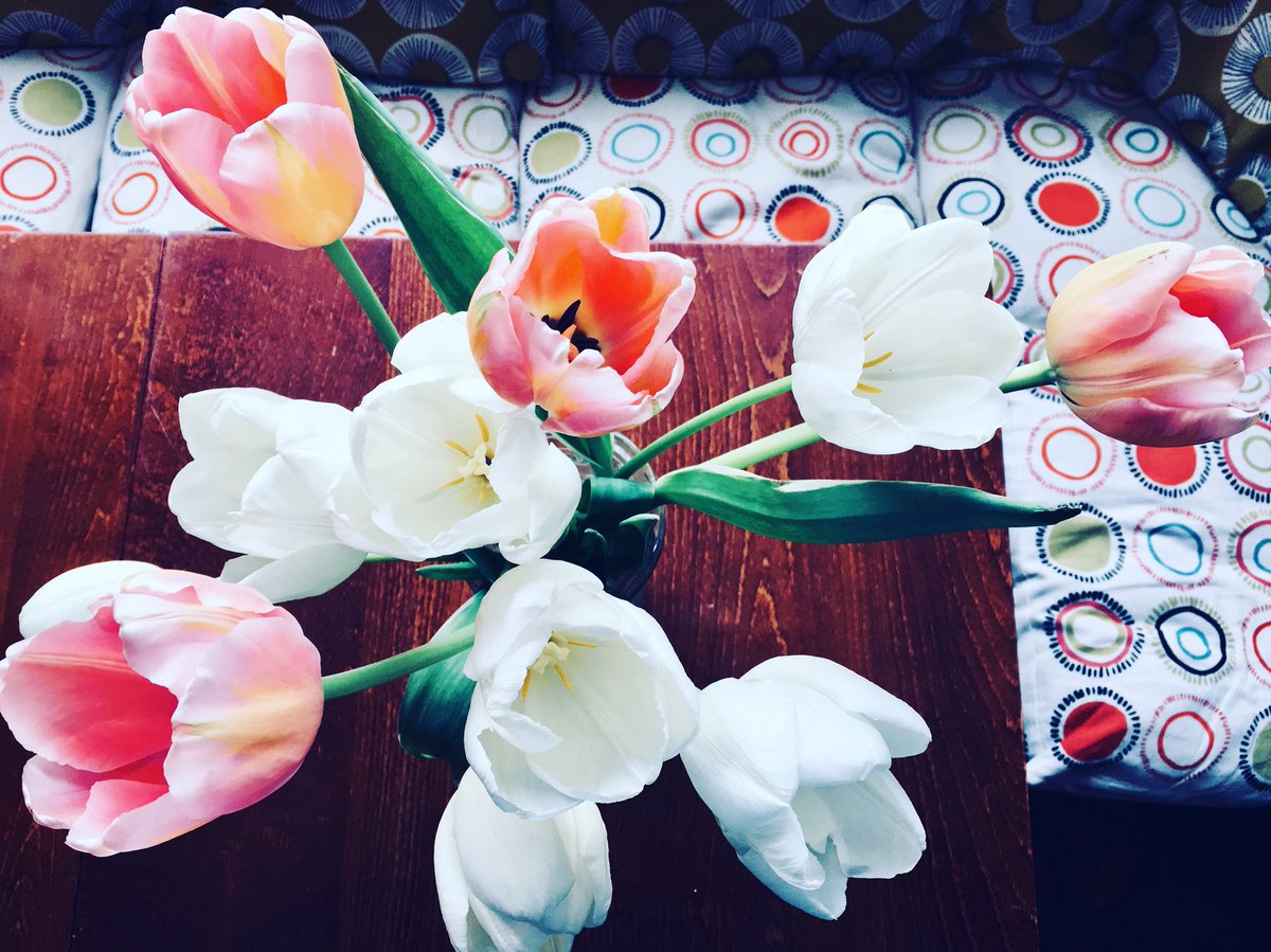 BellsDiner's tweet image. #happyspringtime #flowerseverywhere @gillsbarrow