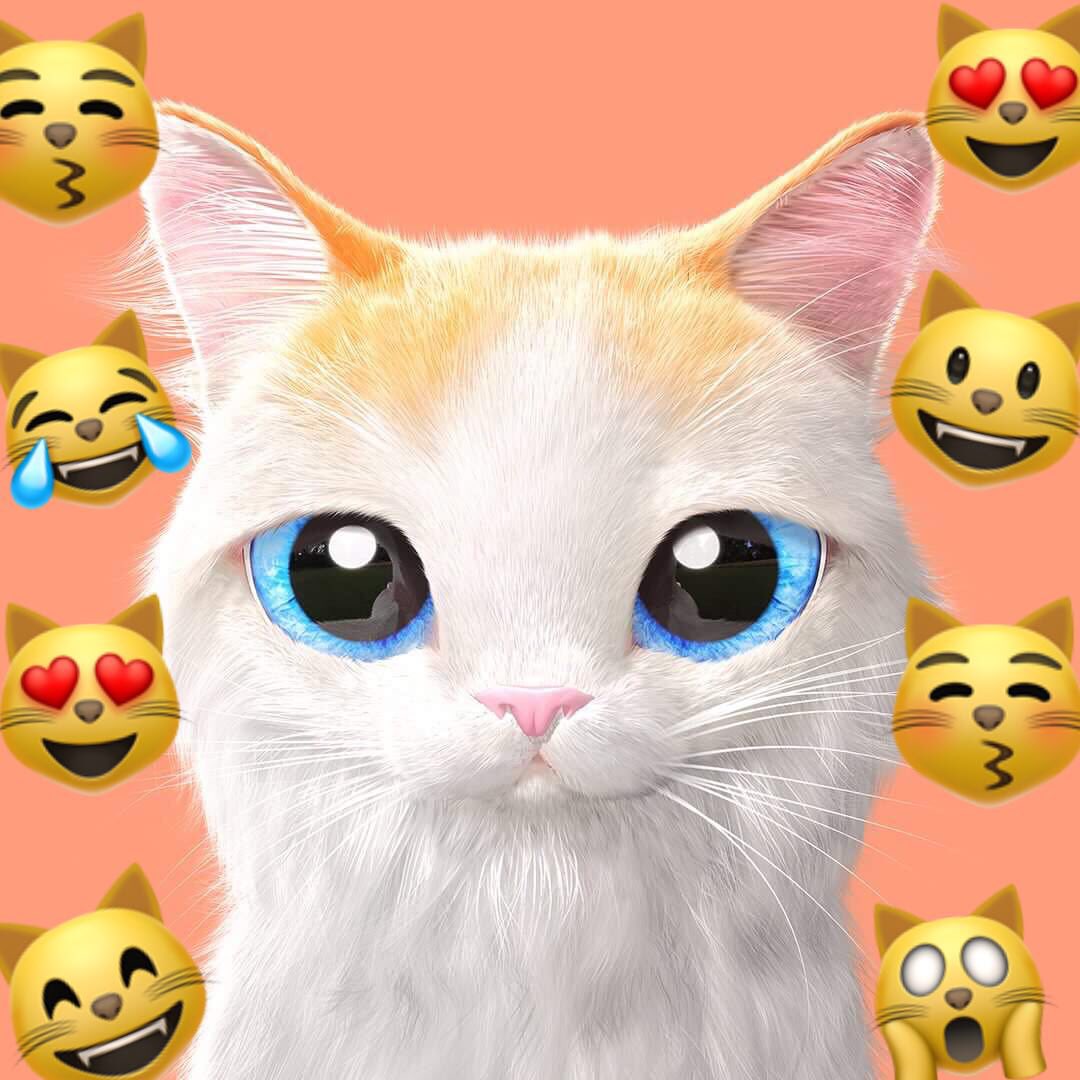 CatcanCol's tweet photo. Visítanos en https://t.co/nyLii2LfDK y conoce los increíbles productos que tenemos para la limpieza de tu hogar 🏠 mejora la convivencia con tu gato 😺😸😹😻😾😼😽 con CatCan 🌈 #catlover #petlovet #petfriendly https://t.co/MCHwSDcdMJ