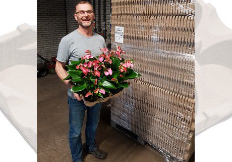bpnieuws's tweet photo. “Postplant eerste EcoExpert gebruiker in Nederland”
https://t.co/7pHuLujRir https://t.co/Kwlm1IzeuX