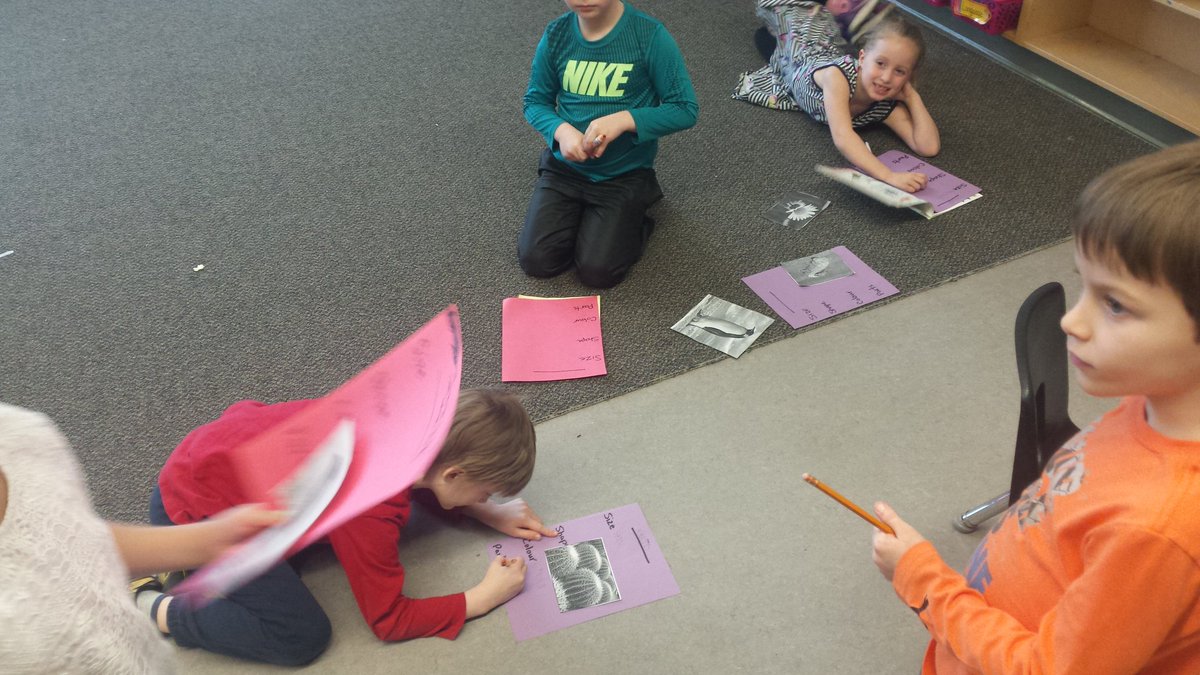1_2Maling's tweet photo. Learning about the "physical characteristcs" of plants and animals! 🐢🐦🐰🐵🐘🐋🐞🐯🍃🌺🌷🌳🌱 #scienceisfun https://t.co/knkfYeLXbZ