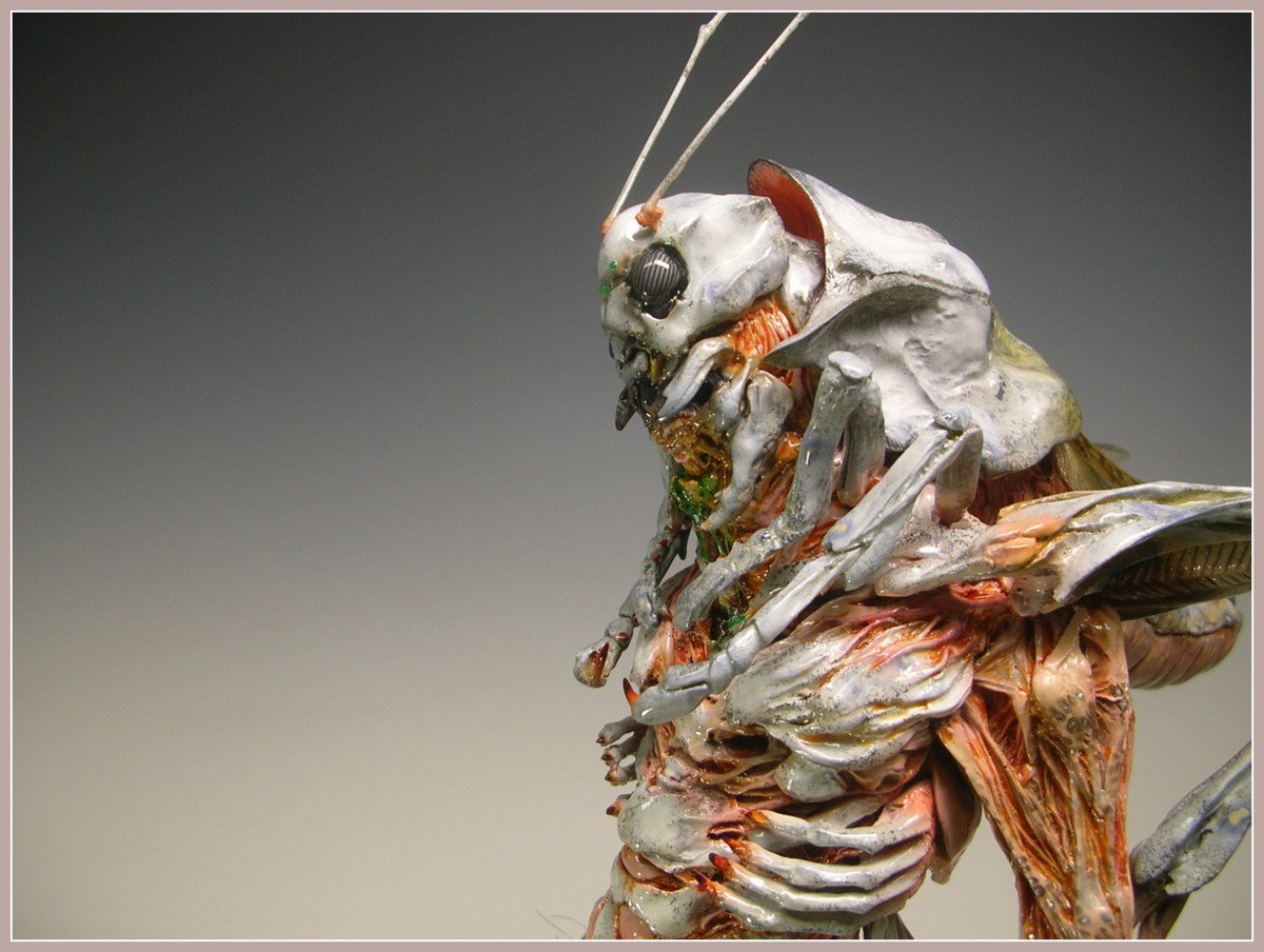 筆塗りバッタ男