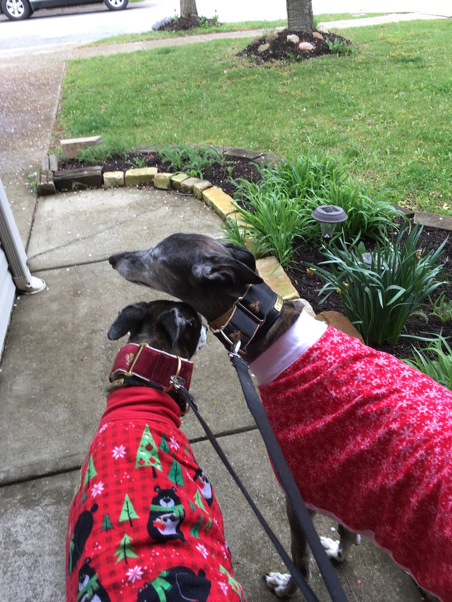 greythound2's tweet photo. @#springcollars #christmascoats #conflicted https://t.co/zZvhn60YRF