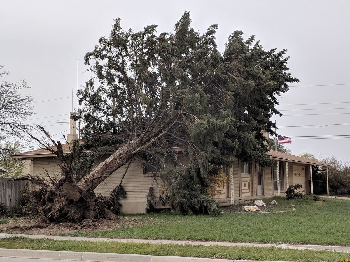 LaurenSnews's tweet image. This wind is insane. Tree toppled over on Murray house. Looks like no one hurt thankfully! @fox13 #utwx #utwind