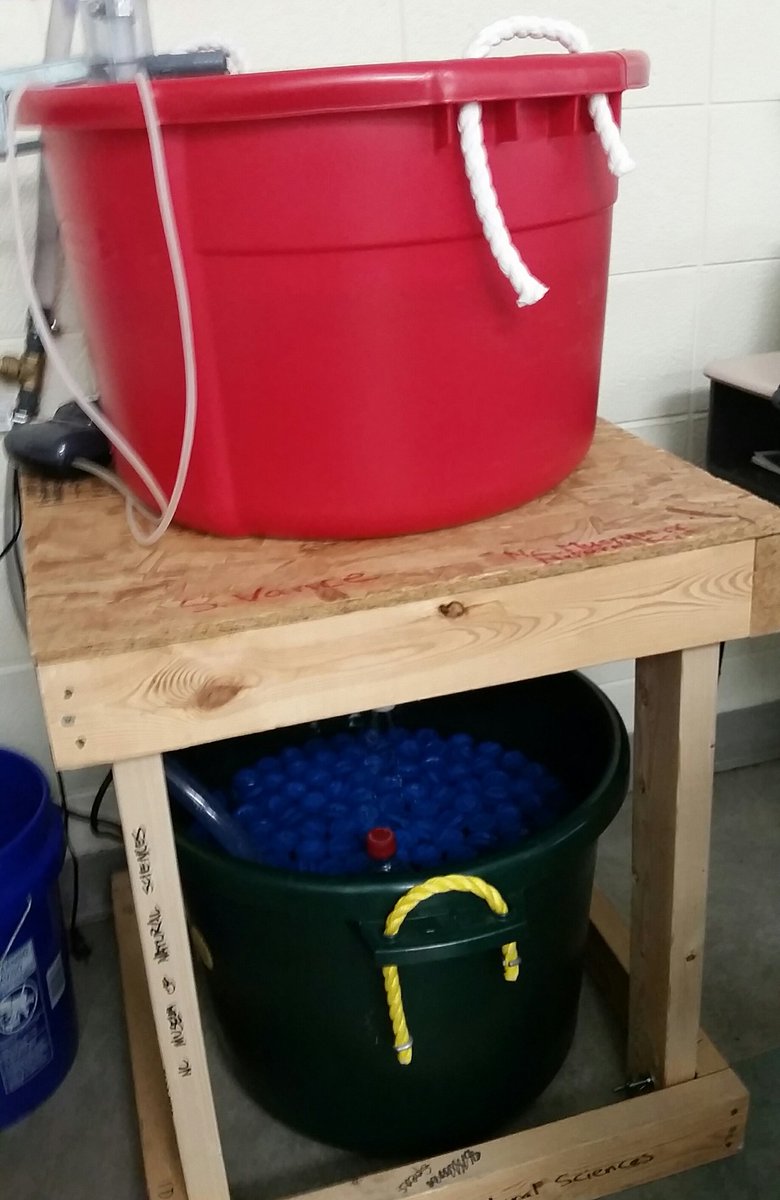 Carson_Jen_E's tweet photo. 5th graders at @GABChamps are learning about ecosystems and species restoration by monitoring water quality of the tank and egg health of American Shad before releasing hatched fry into the Eno River. Thank you, @naturalsciences for the opportunity! #ShadintheClassroom https://t.co/mJAsJ2NuXU