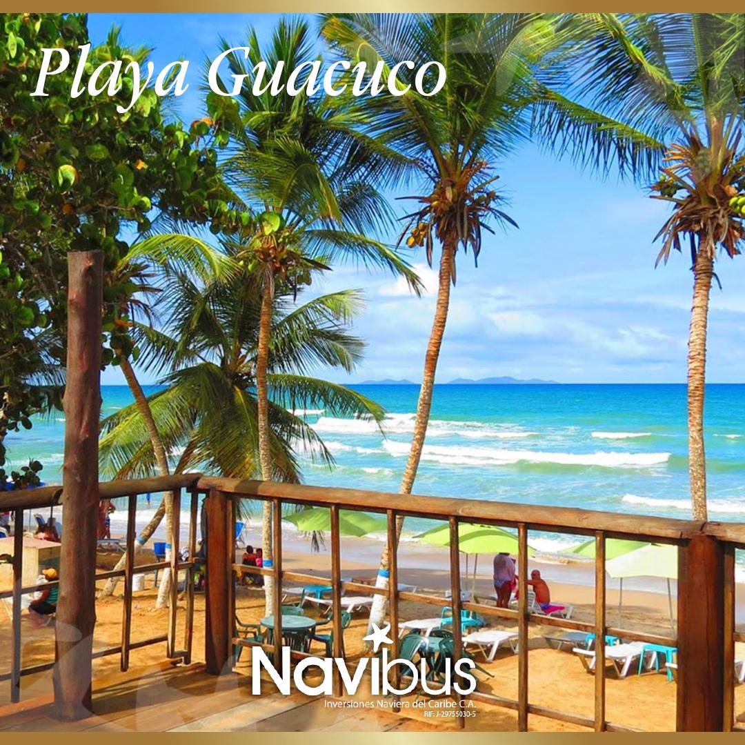 Navibus's tweet photo. Extensa playa con arena rojiza y oleaje perfecto que puedes disfrutar con los más pequeños de la casa o con tu mascota. Cuando vayas a Margarita acércate y vive la experiencia. #DestinosNavibus https://t.co/wf5Gj4dA0C