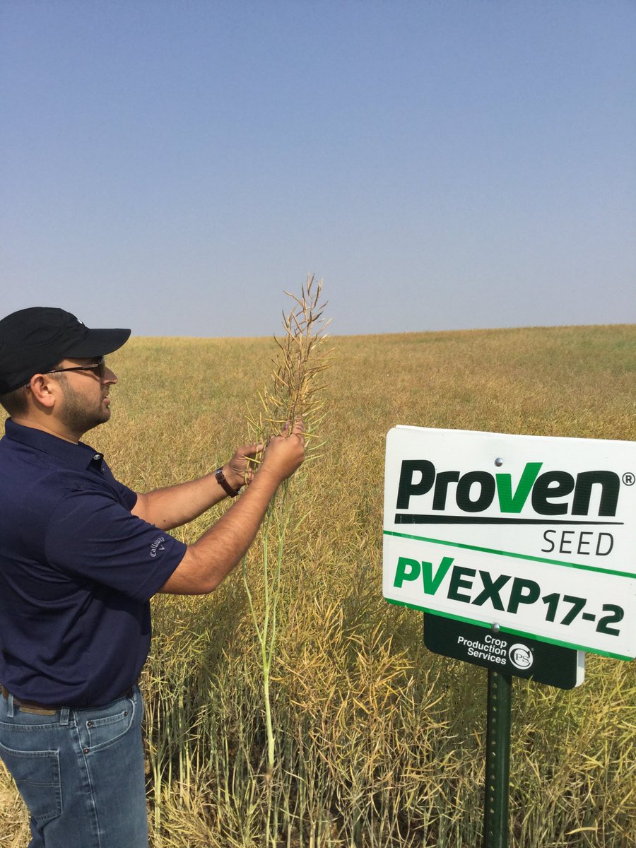 ProvenSeed's tweet photo. Congrats to #CropProductionServices agronomist Hassan Abidi, for snagging 3rd place with this gem of a photo showing agrologists at work for the @SKAgrologists AGM! #SKag #SWSask #WestCdnAg https://t.co/L1QDPBuXmo