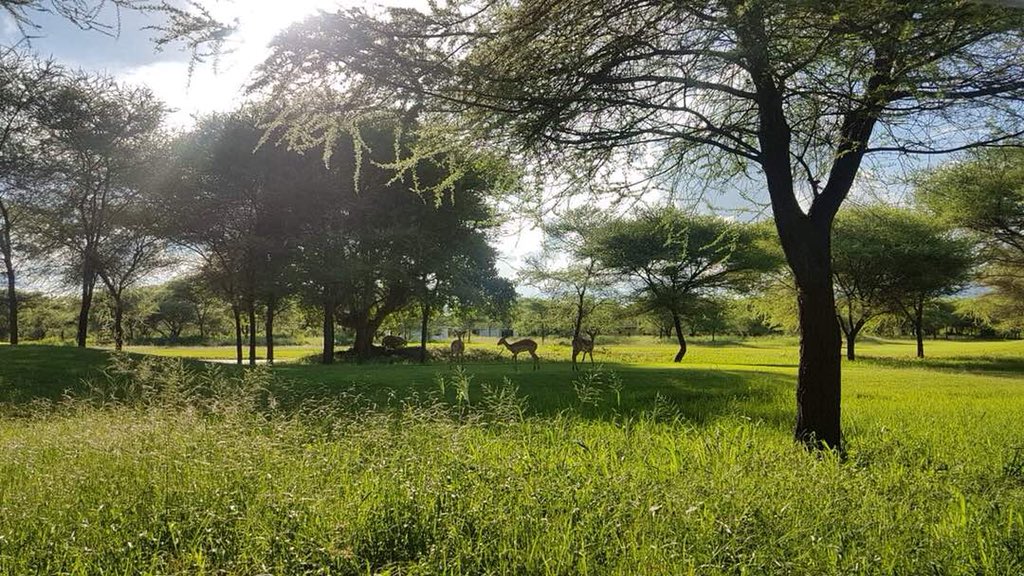 Kiligolf's tweet photo. Some stunning photos of #Kiligolf 
#wow #mtmeru #tanzania #golf #golfcourse #tanzaniagolf #golfdestination #ownahomehere #kilimanjaro https://t.co/SQ3rtcbcaA