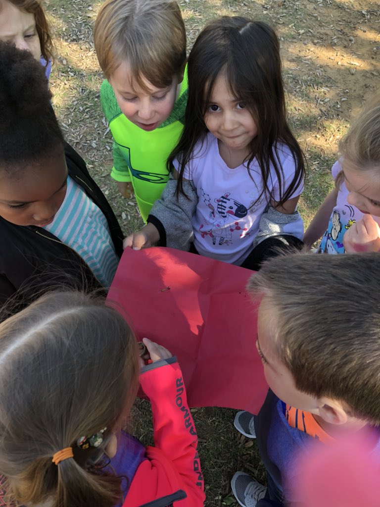 GESEubank's tweet photo. Sorting objects on the ground and making a habitat for a ladybug #learningatrecess #GESShineOn https://t.co/EAo4VIR2AB
