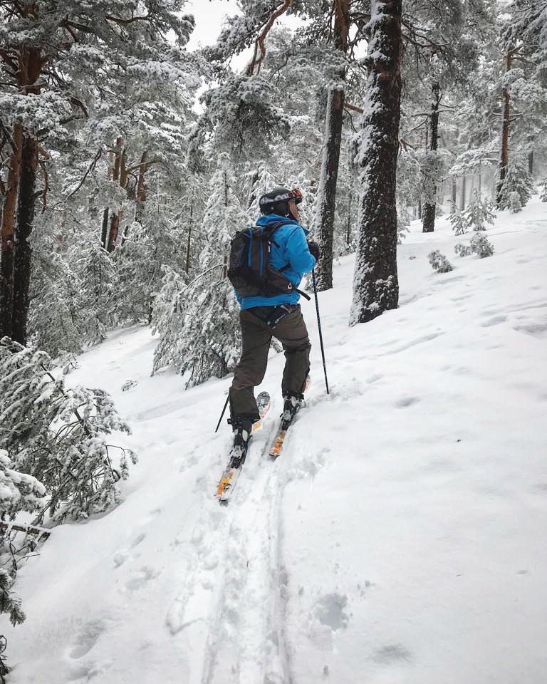 Fernando__Fdez's tweet photo. Paso firme, espalda recta y mirada al frente. Que no se note que no tenemos ni puta idea de a dónde vamos #pnguadarrama #Guadarrama #backcountry https://t.co/FiAD6MEQzR