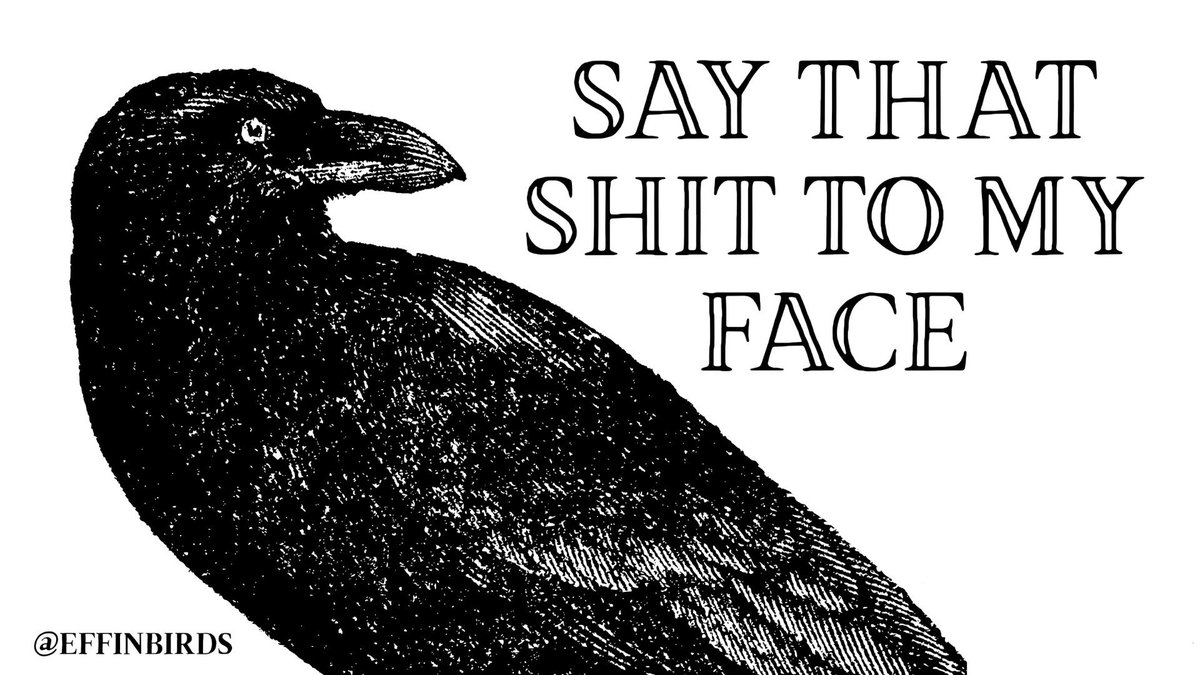 EffinBirds's tweet photo. https://t.co/sGa9SCb0bD