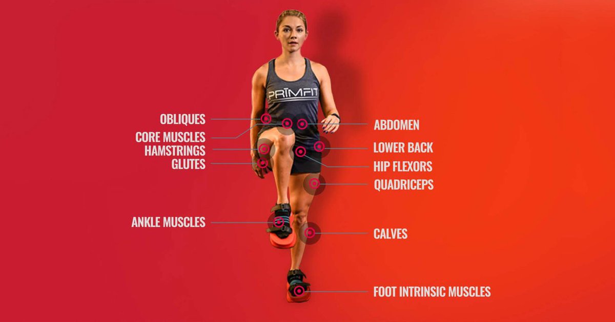 PRīMFIT tweet media