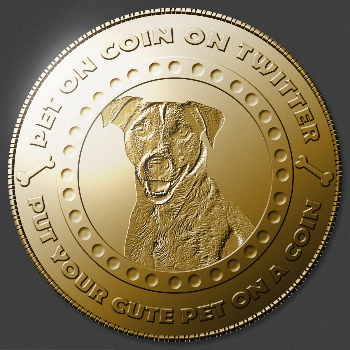 petonacoin's tweet photo. Put your beloved pet on a coin illustration for only 18,95$! Feel free to contact us anytime if you wish to order! 🙂🐱🐶🐹🐰🐷 https://t.co/2eHlBp5hVG