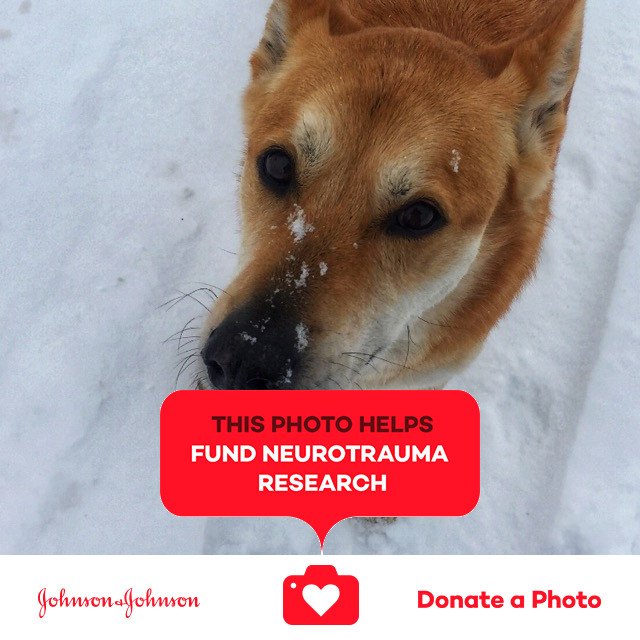 YoKristyna's tweet photo. #takeawalk #jnj @donateaphoto https://t.co/uTNiG9EHrv https://t.co/i6Sumjav05