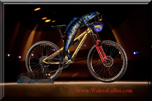 Wahoo Coffee tweet media