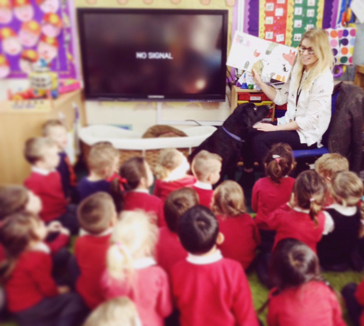 primaryteachad's tweet photo. W.C. Fields once said, “Never work with animals or children.” Yeah, don’t listen to him... 🐶🧒🏼 #earlyyears #EYFS #readingdog #cuuuute https://t.co/bPS9tcGFWU
