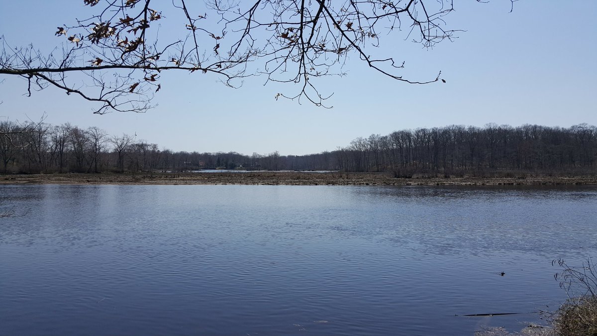 ValCCavanaugh's tweet photo. View of the south branch of the #RancocasCreek from #RancocasStatePark's blue loop trail this past Saturday. #ExploreNJ #HikeNJ https://t.co/LMZ0YhPLCi