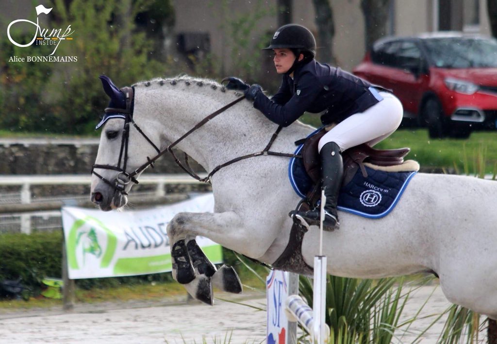 studforlife_fr's tweet photo. En parallèle des #FEIWorldCupFinals et du #BIP2018, nous étions aussi en Normandie pour le #MeetingdePrintemps la semaine dernière ! 🌦
➡️ https://t.co/gnmSQIGios https://t.co/JAHlO7DlEA