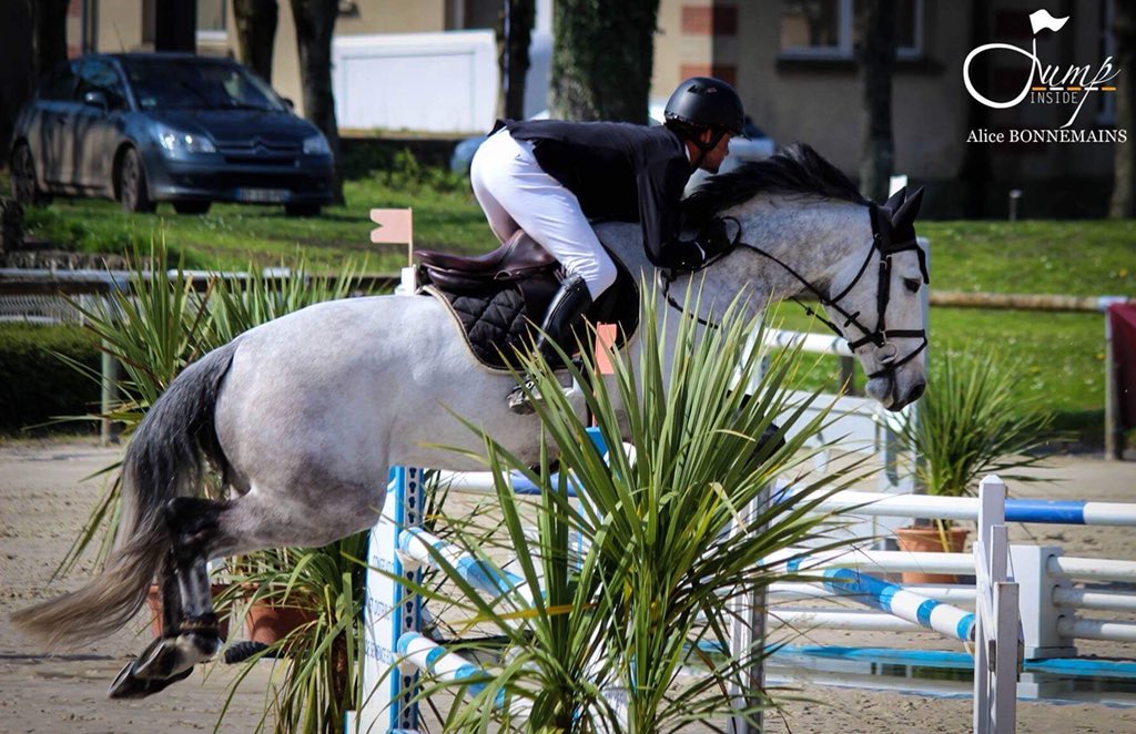 studforlife_fr's tweet photo. En parallèle des #FEIWorldCupFinals et du #BIP2018, nous étions aussi en Normandie pour le #MeetingdePrintemps la semaine dernière ! 🌦
➡️ https://t.co/gnmSQIGios https://t.co/JAHlO7DlEA