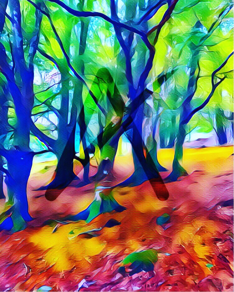CMdigiART's tweet photo. Glendalough Forest (2) #glendalough #forest #woods #ireland #Wicklow #digitalart @artedigital @digiarthub https://t.co/TfhiXYjfoR