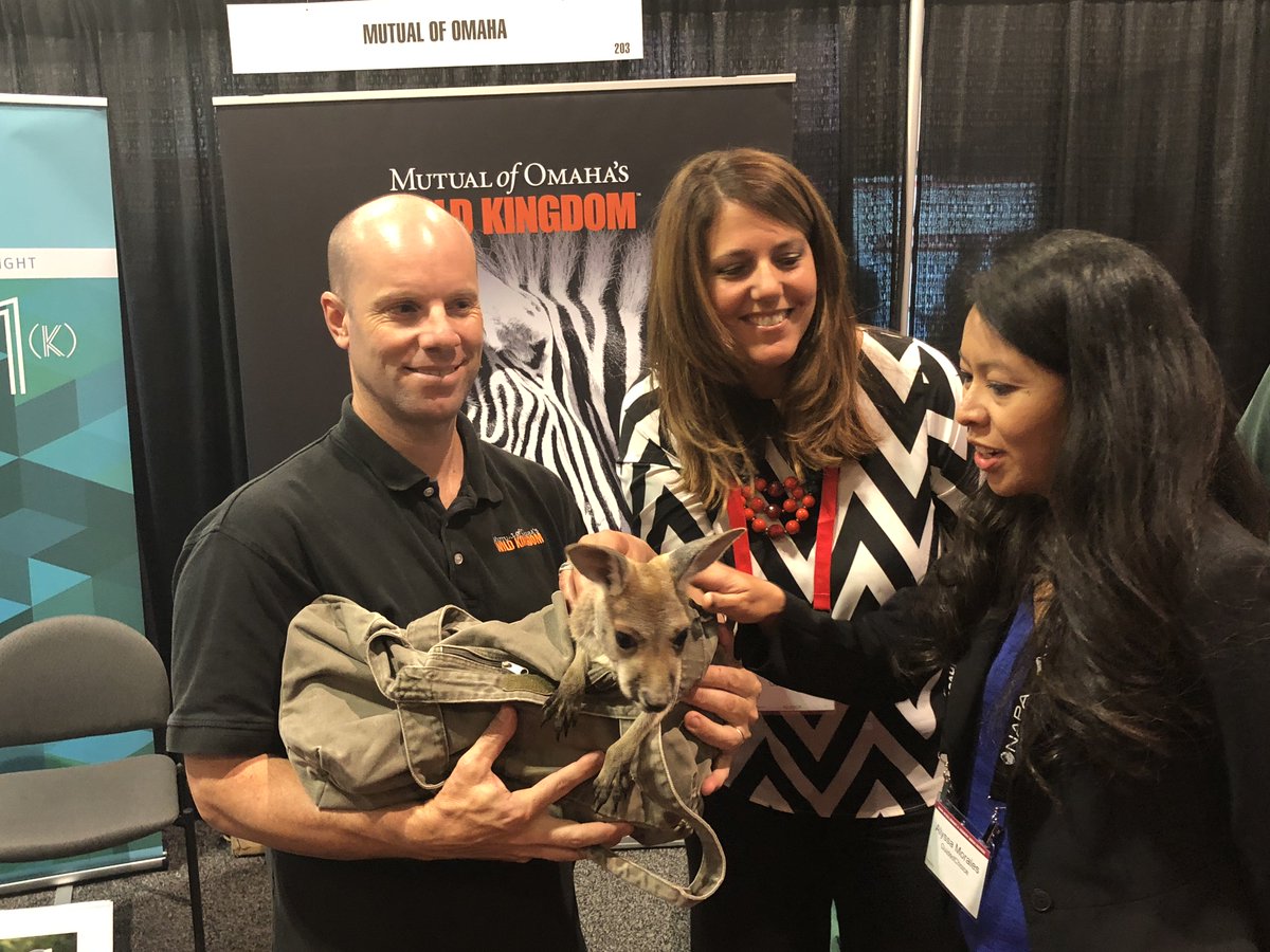 GuidedChoice's tweet photo. Got a chance to hangout with a kangaroo at the #NAPA401kSummit while we work to help participants fill their 401(k) pouches. Thanks to @MutualofOmaha #GuidedChoice https://t.co/eCa1rQDL1K