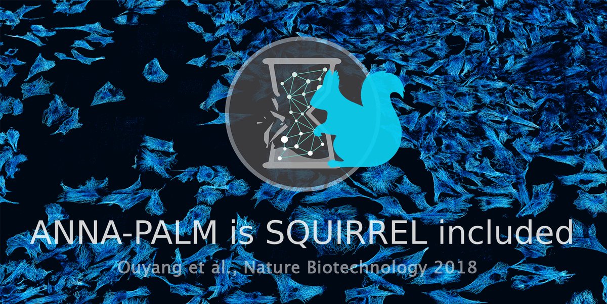 imweio's tweet photo. I would like to mention that #ANNAPALM is #SQUIRREL included: we implemented the #SQUIRREL idea with a Convolutional Neural Network, to generate the error map and minimize the error map with widefield. See our supplementary info. Thanks to @HenriquesLab @christlet @CecileLeduc https://t.co/dm7YVtvaOr