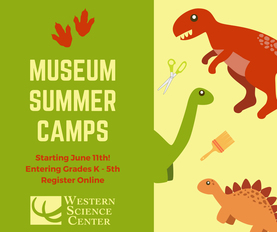 WesternCenter's tweet photo. Summer camps and labs are going fast, and space is limited! From engineering to making fossil replicas, we have camps for K-10th grade now available. Register online now (https://t.co/JNLffgje3P) to reserve your child's spot! #scied #paleoed @inlandempireus @SocialRiverside https://t.co/lNFmJhLrbi