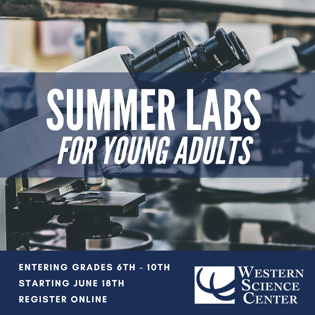 WesternCenter's tweet photo. Summer camps and labs are going fast, and space is limited! From engineering to making fossil replicas, we have camps for K-10th grade now available. Register online now (https://t.co/JNLffgje3P) to reserve your child's spot! #scied #paleoed @inlandempireus @SocialRiverside https://t.co/lNFmJhLrbi