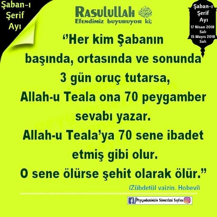 Berkan2234's tweet photo. https://t.co/KhiYXQAfV7