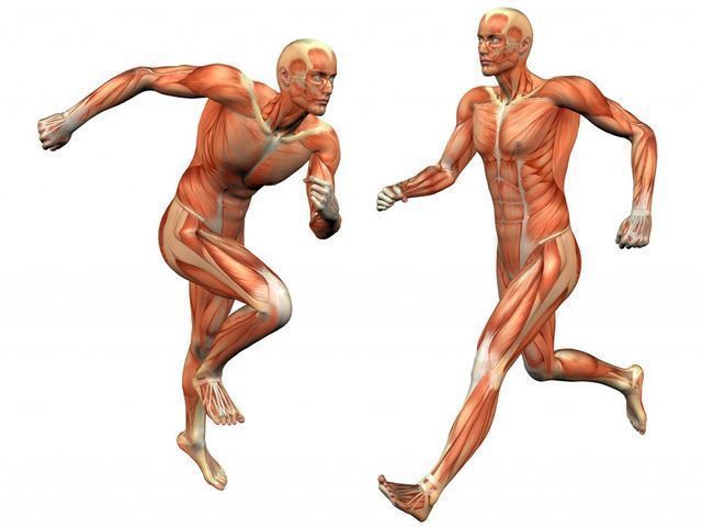 Back_to_Active's tweet photo. Looking for a #deep #tissue #sports #massage?  Want #flexibility and #movement?  Contact @Back_to_Active for help! We are based locally in #Farnham #Surrey and are open for weekend appointments.  https://t.co/UbBIyTTLXi https://t.co/HvnSIzMlWW