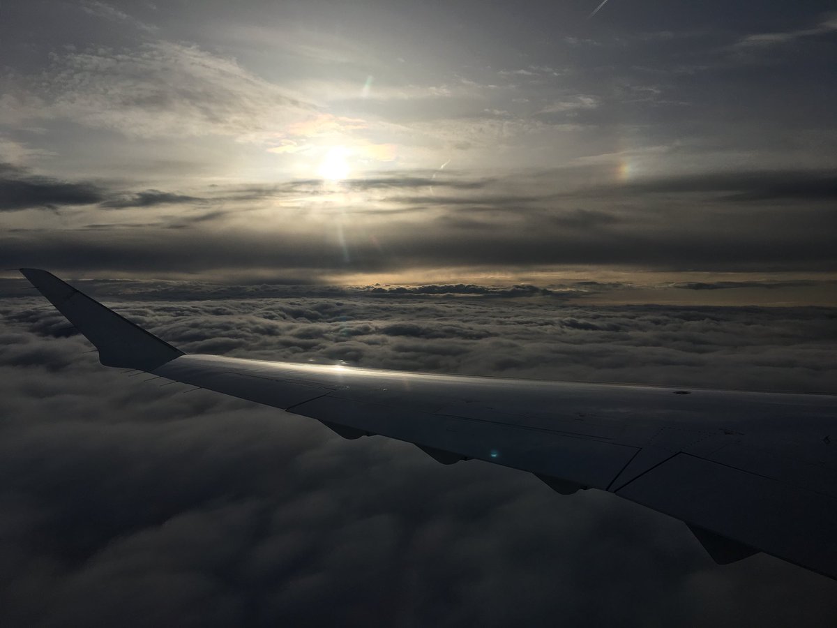 LCOAvelino's tweet photo. On my way to Oslo to talk #IM and compare #IMSystems with #RedCross colleagues https://t.co/9RZNb9GSNT