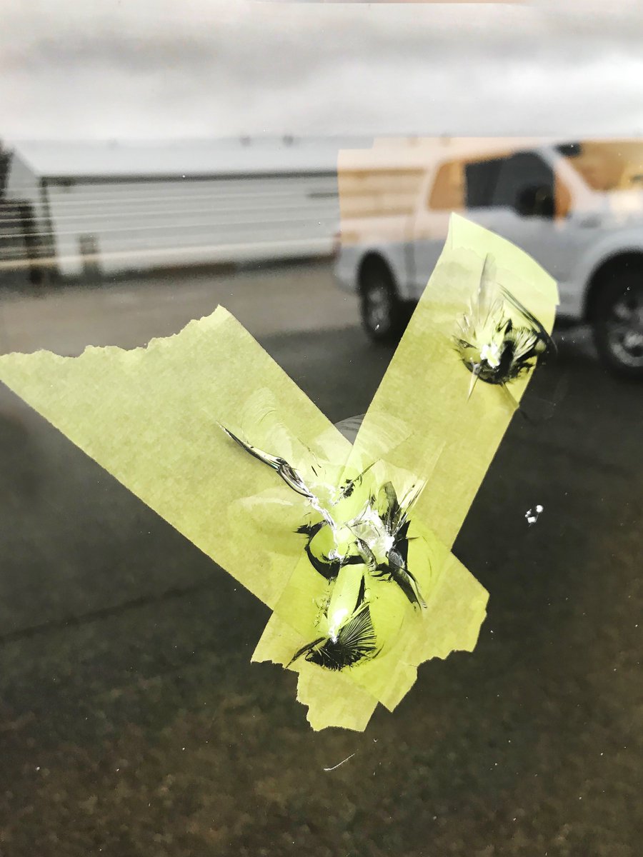 Picklestation's tweet photo. When you get to work on Monday morning only to notice bullet holes in our main office door!! When investigating into it we find out it happened on  #FridayThe13th ! #vandalism #ckont #RuralCrime @TVF_Farms https://t.co/kJa0wHRuxW