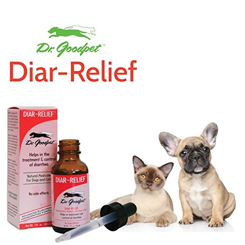Dr. Goodpet Diar-Relief
Amazing product w/ GREAT results!
If your pup or kitty is in need don't hesitate to give it a try! 😊🐈🐕
👉 goodpet.com/dogs/diar-reli…
#healthypets #Mondaymotivation #dogsarelove