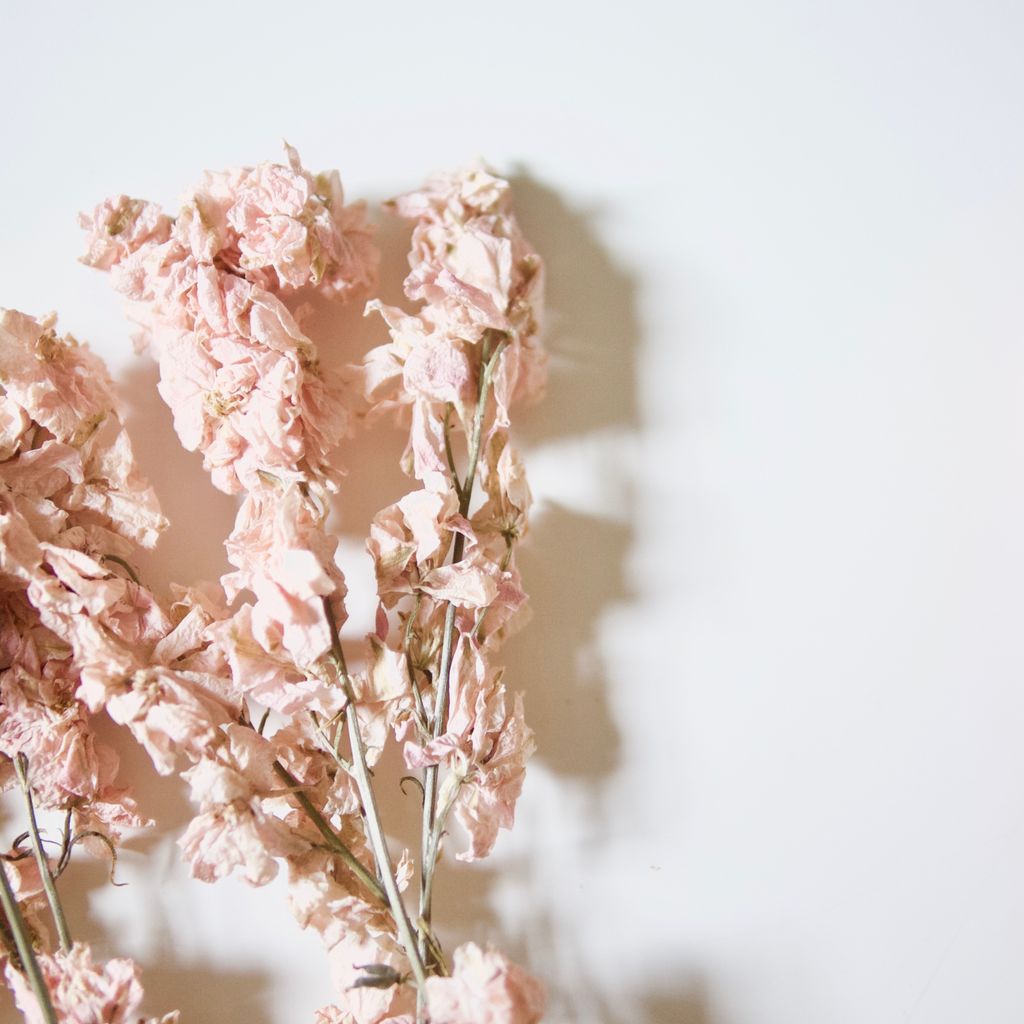 S E C R E T G I F T I N G | You know that feeling when a grand plan comes together? We've just sent out a gorgeous pre-wedding pamper gift box tailored to this famous actress' gorgeous wedding colours. 
.
#watchthisspace  #weddinggifts #pampergift #preweddingpampering #duskypink