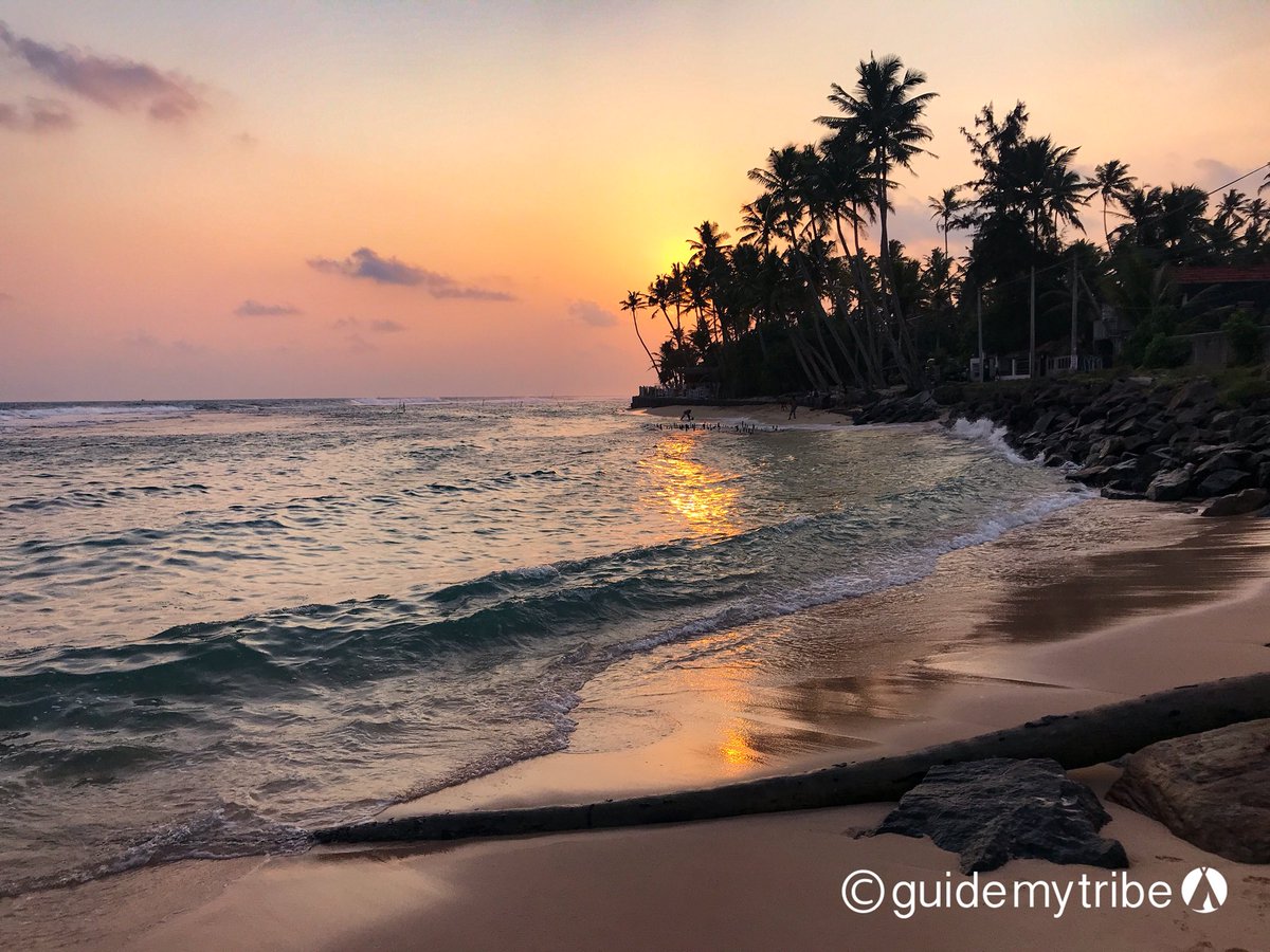 GuideMyTribe's tweet photo. The blissfully stunning #matara beach on the south coast of #srilanka 
The perfect place for the kids to play all day, lovely relaxed bar for us to #unwind and stunning #beachsunset 

#gmtsrilanka #travelblogger #travelwithkids #cnbctravel https://t.co/AEKp8OurQr
