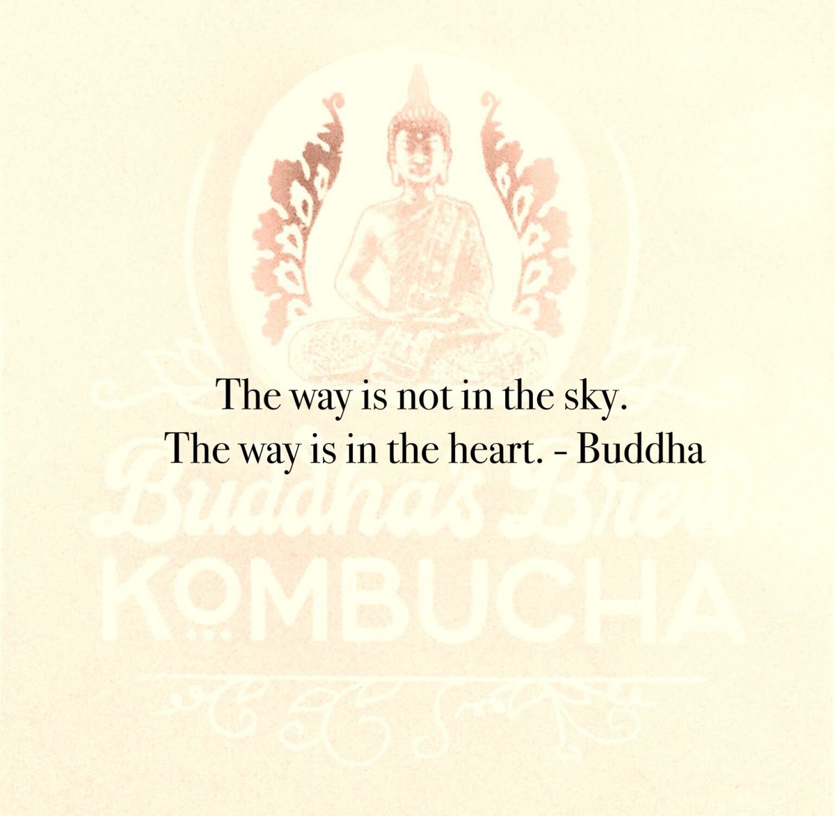 BuddhasBrew's tweet photo. Meditation Monday! #Kombucha #Healthylifestyle #ATX #MoreMeditation #Probiotics #AwakenYourEnergy #DoMoreYoga #MeditationMondays #EatDrinkLocal https://t.co/l0Rvygw5lT
